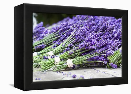 Lavender Harvest II-Dana Styber-Framed Premier Image Canvas