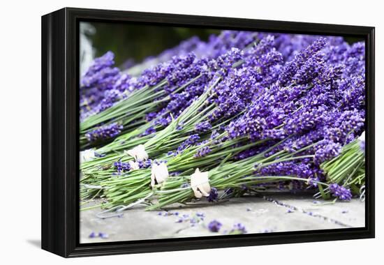 Lavender Harvest II-Dana Styber-Framed Premier Image Canvas