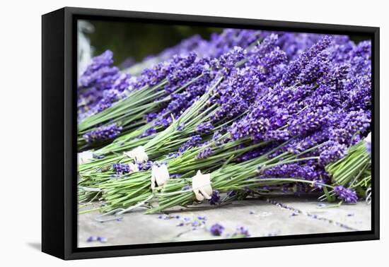 Lavender Harvest II-Dana Styber-Framed Premier Image Canvas