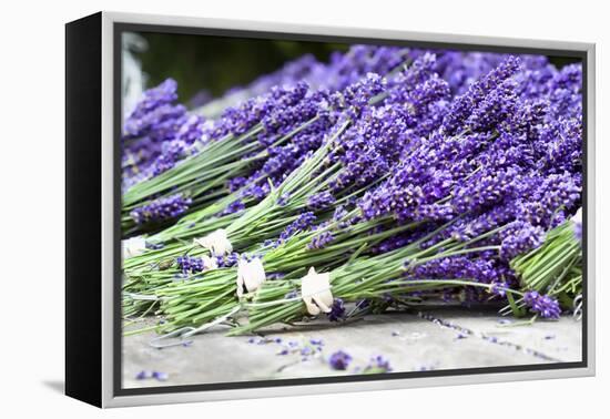 Lavender Harvest II-Dana Styber-Framed Premier Image Canvas