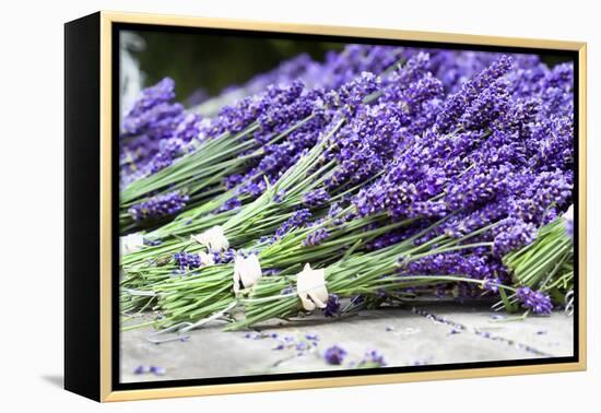 Lavender Harvest II-Dana Styber-Framed Premier Image Canvas