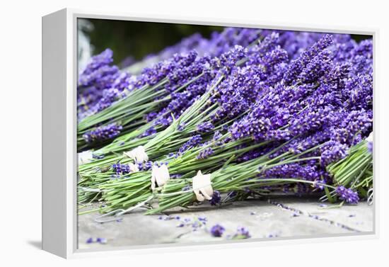 Lavender Harvest II-Dana Styber-Framed Premier Image Canvas