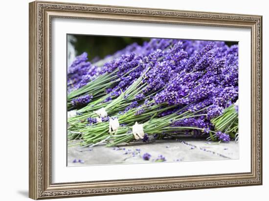 Lavender Harvest II-Dana Styber-Framed Photographic Print