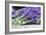 Lavender Harvest II-Dana Styber-Framed Photographic Print