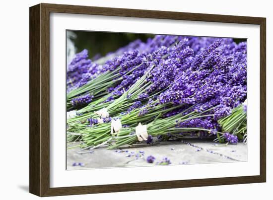 Lavender Harvest II-Dana Styber-Framed Photographic Print