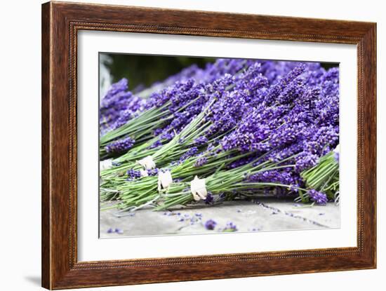 Lavender Harvest II-Dana Styber-Framed Photographic Print