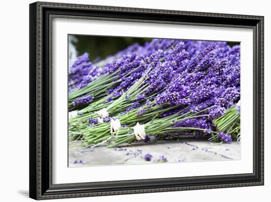 Lavender Harvest II-Dana Styber-Framed Photographic Print