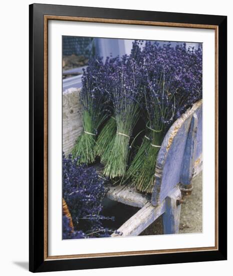 Lavender Harvest-Gunter Rossenbach-Framed Art Print