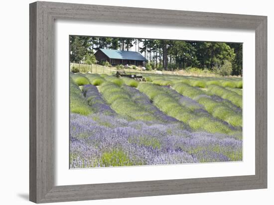 Lavender Hill I-Dana Styber-Framed Photographic Print