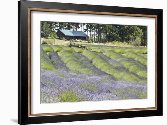 Lavender Hill I-Dana Styber-Framed Photographic Print