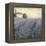 Lavender Hills Detail-James Wiens-Framed Stretched Canvas