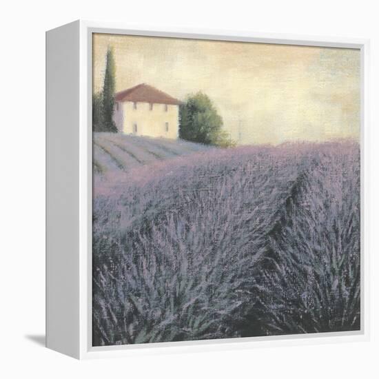 Lavender Hills Detail-James Wiens-Framed Stretched Canvas