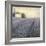 Lavender Hills Detail-James Wiens-Framed Premium Giclee Print