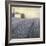 Lavender Hills Detail-James Wiens-Framed Premium Giclee Print