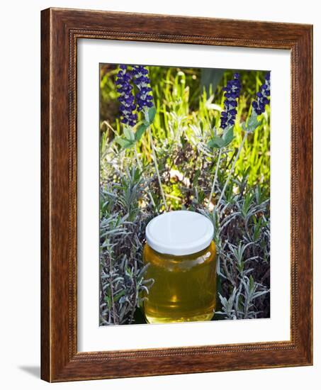 Lavender Honey in Jar and Lavender Plant-Nico Tondini-Framed Photographic Print