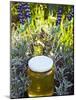 Lavender Honey in Jar and Lavender Plant-Nico Tondini-Mounted Photographic Print