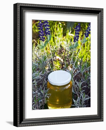 Lavender Honey in Jar and Lavender Plant-Nico Tondini-Framed Photographic Print