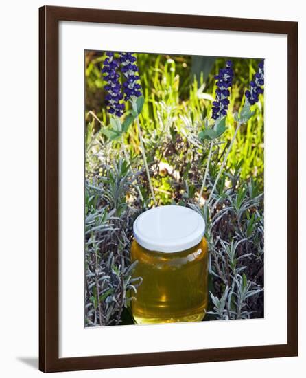 Lavender Honey in Jar and Lavender Plant-Nico Tondini-Framed Photographic Print