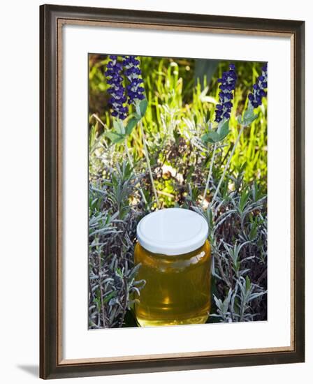 Lavender Honey in Jar and Lavender Plant-Nico Tondini-Framed Photographic Print