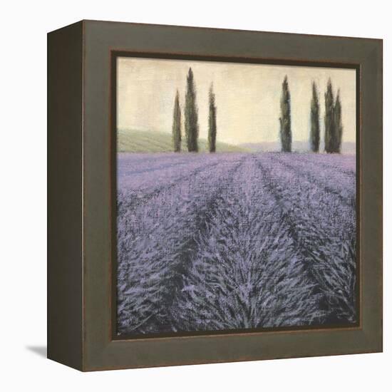 Lavender Horizon Detail-James Wiens-Framed Stretched Canvas