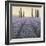 Lavender Horizon Detail-James Wiens-Framed Art Print