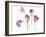 Lavender Hues Tulips II-Lanie Loreth-Framed Art Print