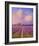 Lavender I-Chris Vest-Framed Art Print