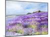 Lavender I-Li Bo-Mounted Giclee Print