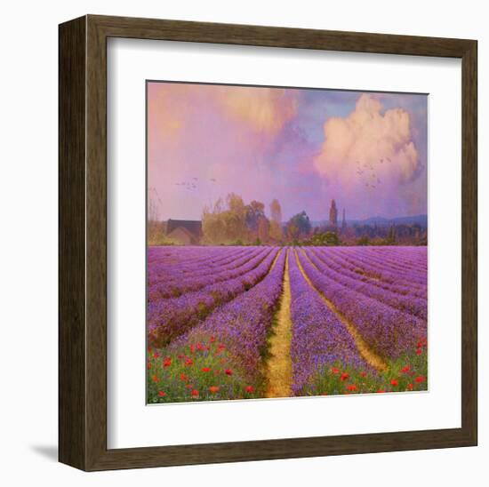 Lavender II-Chris Vest-Framed Art Print