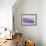 Lavender II-Li Bo-Framed Giclee Print displayed on a wall