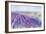 Lavender II-Li Bo-Framed Giclee Print