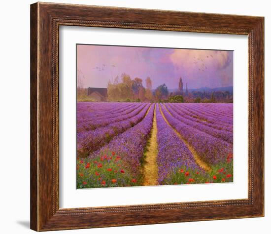 Lavender III-Chris Vest-Framed Art Print