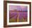 Lavender III-Chris Vest-Framed Art Print