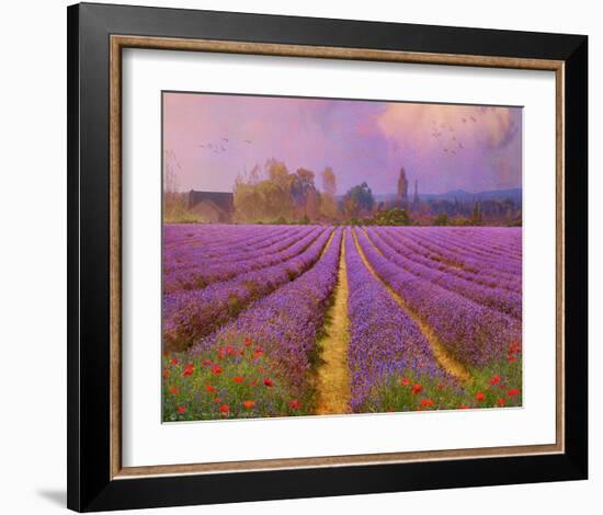 Lavender III-Chris Vest-Framed Art Print
