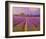 Lavender III-Chris Vest-Framed Art Print