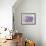 Lavender III-Li Bo-Framed Giclee Print displayed on a wall