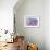 Lavender III-Li Bo-Framed Giclee Print displayed on a wall