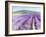 Lavender III-Li Bo-Framed Giclee Print