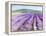 Lavender III-Li Bo-Framed Premier Image Canvas