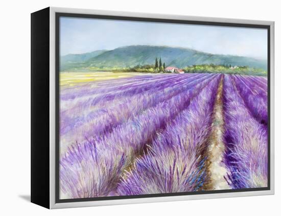 Lavender III-Li Bo-Framed Premier Image Canvas