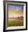 Lavender IV-Chris Vest-Framed Art Print