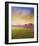 Lavender IV-Chris Vest-Framed Art Print