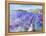 Lavender IV-Li Bo-Framed Premier Image Canvas