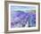 Lavender IV-Li Bo-Framed Giclee Print