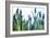 Lavender (Lavandula Sp.)-Lawrence Lawry-Framed Photographic Print