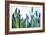 Lavender (Lavandula Sp.)-Lawrence Lawry-Framed Photographic Print