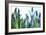 Lavender (Lavandula Sp.)-Lawrence Lawry-Framed Photographic Print