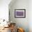 Lavender on Linen 1-Bret Staehling-Framed Art Print displayed on a wall