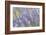 Lavender on the Plateau of Valensole, Puimoisson, Provence-Alpes-Cote d'Azur, France-null-Framed Art Print