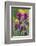 Lavender Paintbrush-Ken Archer-Framed Photographic Print